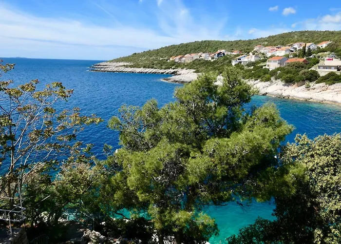 Antonia 扎瓦拉提卡